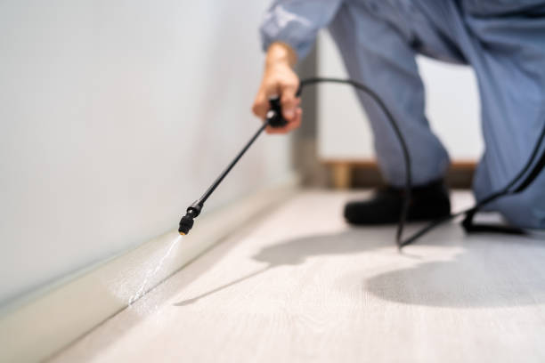 Licensed Rodent Control service in Moncks Corner, SC - Nex Pest Control