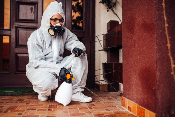 Reliable Rodent Control contractor in Moncks Corner, SC by Nex Pest Control