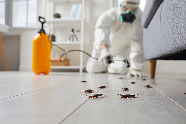 Trusted Rodent Control service in Moncks Corner, SC - Nex Pest Control