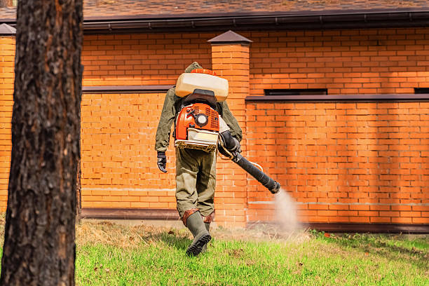 Trusted Termite Control service in Moncks Corner, SC - Nex Pest Control